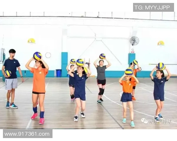 排球新手攻略:个人能力入门指南 排球新手攻略:个人能力入门指南