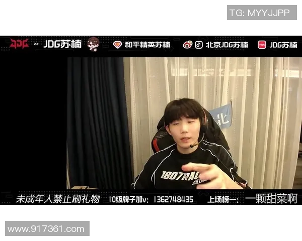 精英赛特别报道：JDG的奋斗经历